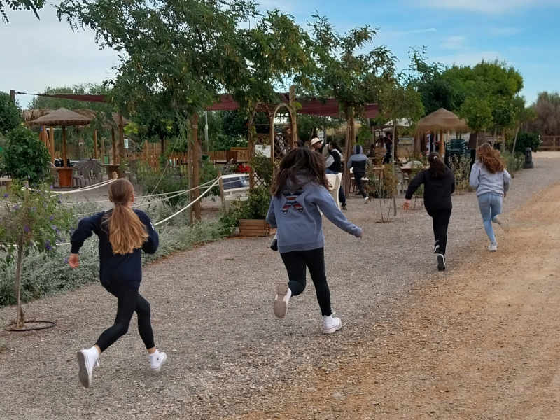 actividad colegios en peñíscola: escape room exterior en el laberinto más grande de españa